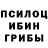 Псилоцибиновые грибы Psilocybe Rustam Beksariev