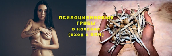 амф Кодинск