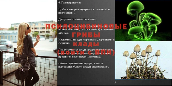амф Кодинск