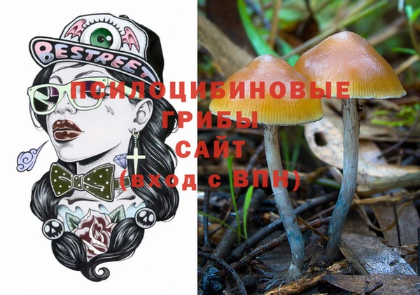 амфетамин Козловка