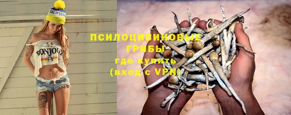 амфетамин Козловка
